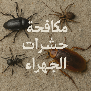 مكافحة حشرات الجهراء